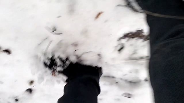 Прятки в лесу с Клоуном смотреть онлайн