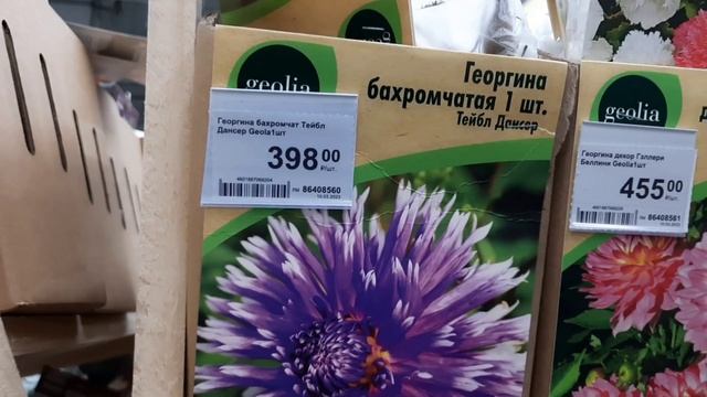 Леруа Мерлен останется в России. Обзор: рассада, саженцы, семена в Леруа Мерлен /Москва #леруамерле смотреть онлайн