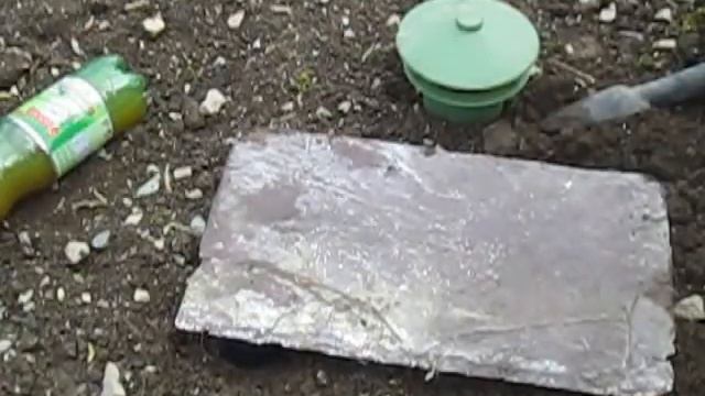 How to Effectively Control Slugs Without Chemicals! смотреть онлайн