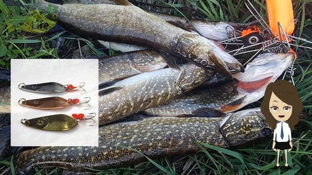 На что ловить щуку весной до нереста и после него? На что клюет щука весной? Приманки на щуку весно смотреть онлайн