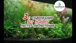 3 г. содержания без подмен. Секрет аквариума без подмен! Растут ли растения? Как часто прополка?