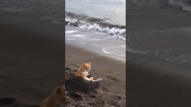 расслабуха смотреть онлайн