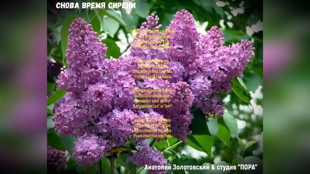 СНОВА ВРЕМЯ СИРЕНИ (Анатолий Золотовский & студия "ПОРА") смотреть онлайн