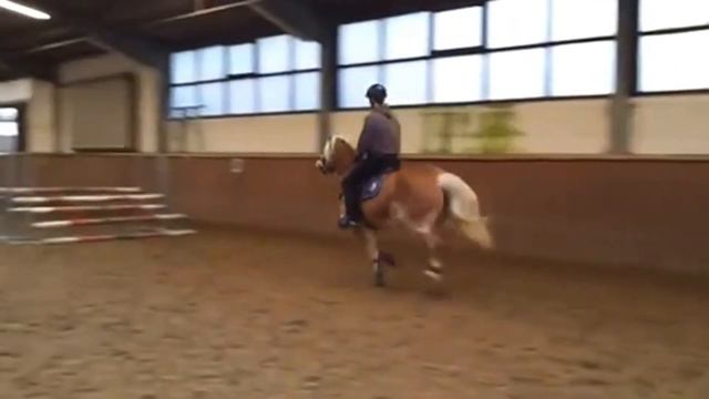 ~This much Power~ Skrillex Horses смотреть онлайн
