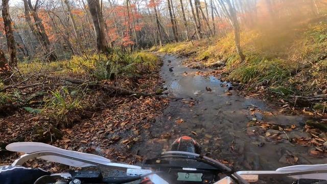 Эндуро Владивосток Надеждинск. 15.10.2022г.#эндуро #enduro #endurotrail #gasgasgas #hardenduro