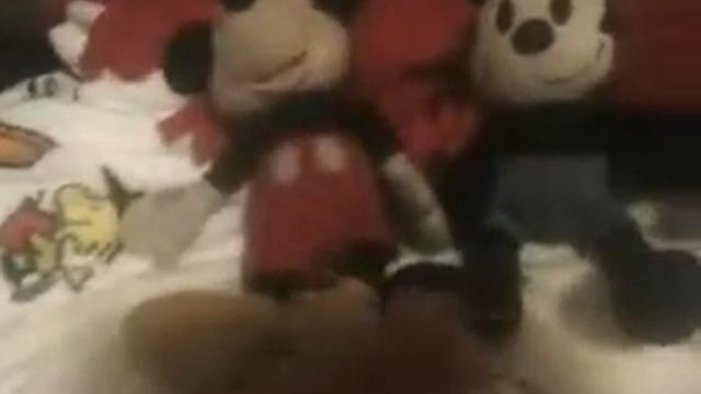 The Adventure's Of Oswald the lucky rabbit episode 9 mr. Crazy blob смотреть онлайн