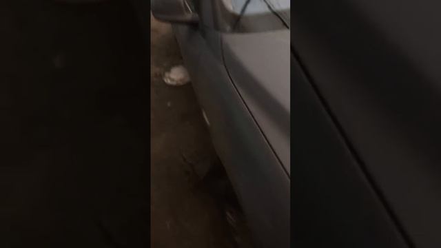 Из дорестайлинга в рестайлинг Bmw E66