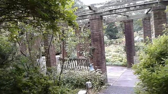 Сельчанка в Америке. Автомобили. Будни