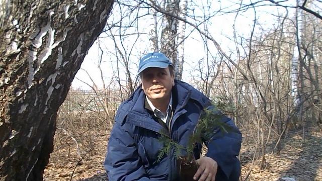 Как купить квартиру смотреть онлайн