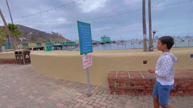 Catalina Island California 2021.Полный Обзор Острова Каталина в Калифорнии! Интересное о Калифорнии