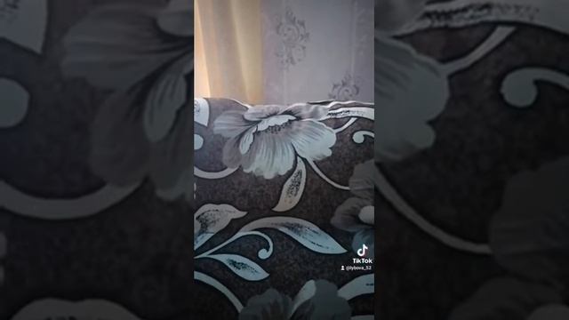 кусок хлеба смотреть онлайн