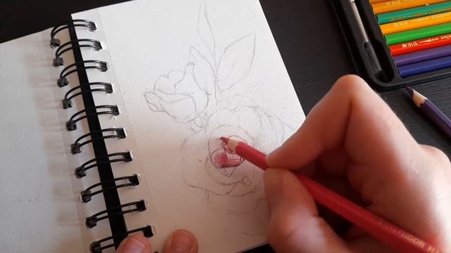 4 простых рисунка акварельными карандашами ????