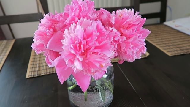 ВЛОГ: как выглядит моя РЕАЛьНАЯ ЖИЗНь? ♡ [OSIA] смотреть онлайн