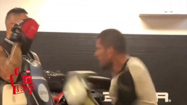 UFC 295: Alex Pereira versus Jiri Prochazka Full Fight Video Breakdown