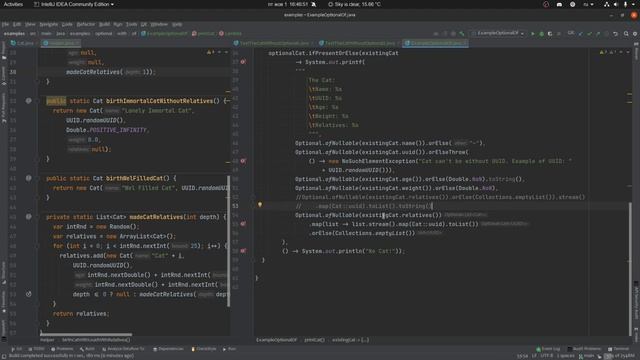Java Optional — попытка избежать NullPoinerException. смотреть онлайн