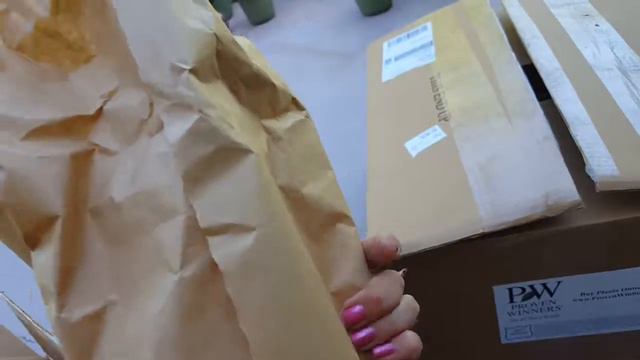 Proven Winners Unboxing смотреть онлайн