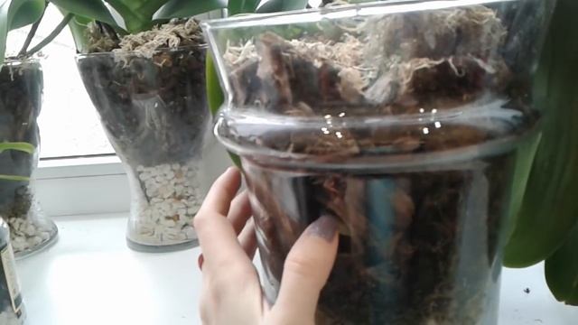 Все корни сгнили ?..SOS...В чем же причина? смотреть онлайн