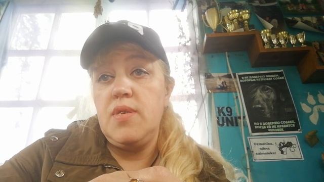 Я снова отвечаю на ваши вопросы . смотреть онлайн