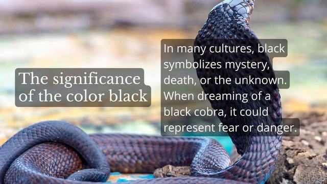 What Does It Mean When You Dream Of A Black Cobra Dream Meaning Interpretation in English смотреть онлайн