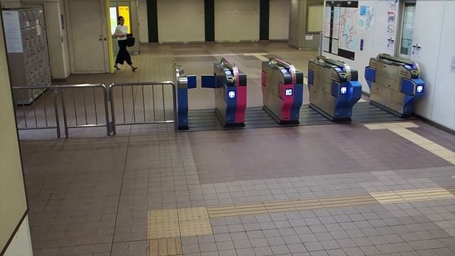 TOKYO. Odaiba To Tsukiji fish market in an uncut version. [4K] смотреть онлайн