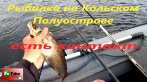 Рыбалка на Кольском Полуострове.  Ловля сига и кумжи.