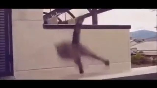 Улет Кот смотреть онлайн