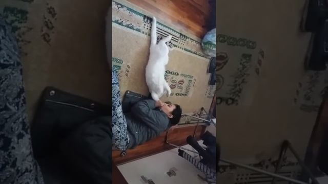 Куфта гуку смотреть онлайн