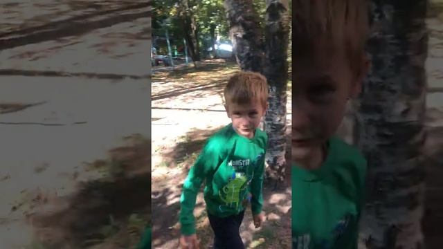 Такие тайские риджбеки - смешная собака смотреть онлайн