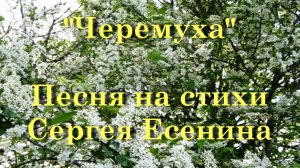 Черемуха - песня на стихи Сергея Есенина