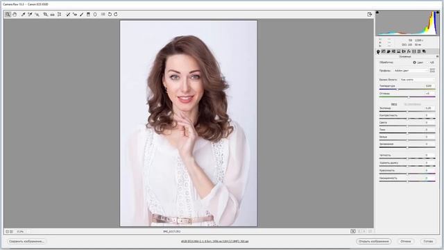 Camera Raw 10.3. Что нового? (Евгений Карташов, Фото-Монстр) смотреть онлайн