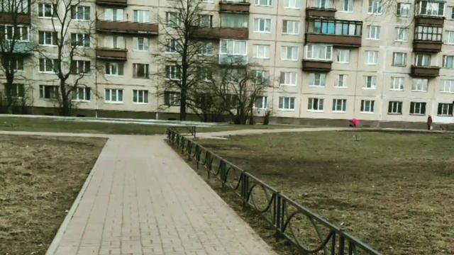 BACH, BWV1027, Cello and Organ. смотреть онлайн