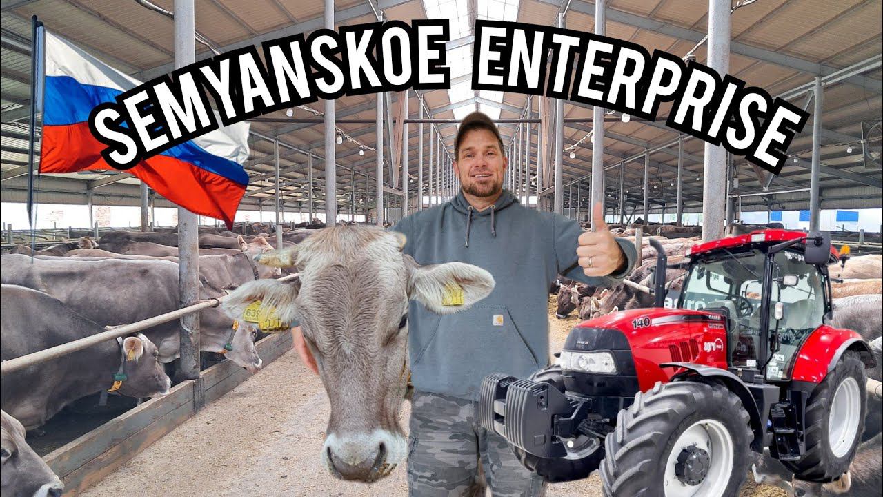 #45. MODERN RUSSIAN DAIRY FARM!!! 9.05.2024 смотреть онлайн