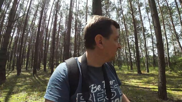 На польской даче. Частный лес. Не без приключений...! смотреть онлайн