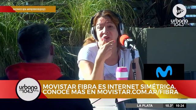 ¡El streamer Momo vino a #Perros2021! | Columna de Ari Hergott - Presenta Movistar смотреть онлайн