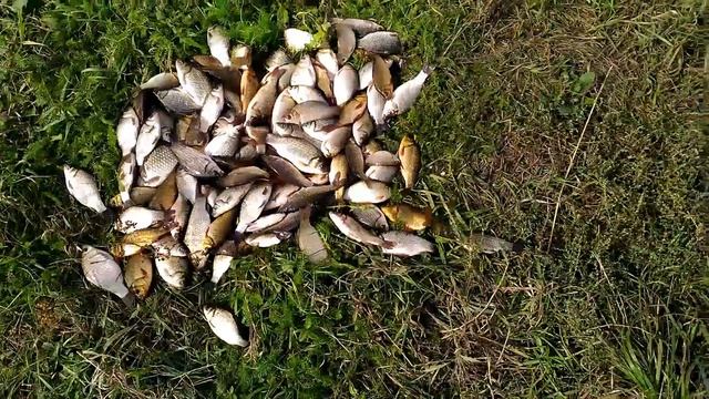 Рыбалка в Узловском районе Тульской области смотреть онлайн