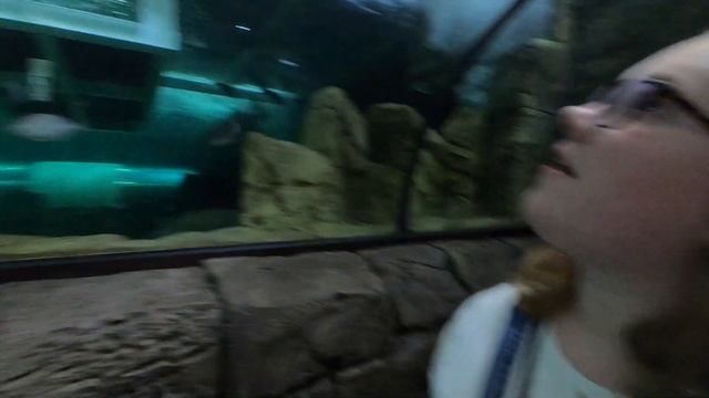 EXPLORING SYDNEY (AQUARIUM AND BEACH!) смотреть онлайн