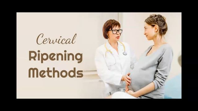 HCD Labor Induction Explained смотреть онлайн