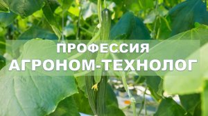 Профессия агроном-технолог.mp4