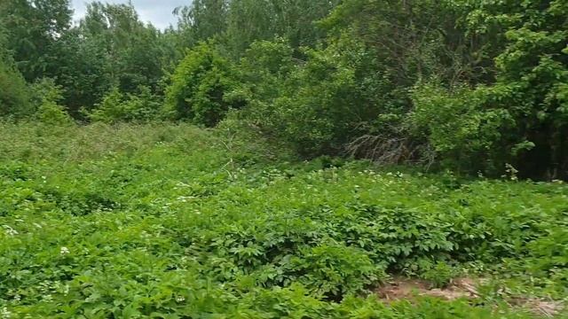 металлоискатель V2.0 смотреть онлайн