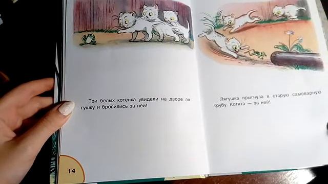 В.Сутеев Три котёнка смотреть онлайн