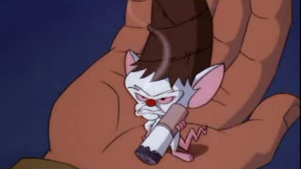 Pinky And The Brain - S3E39 - Inherit The Wheeze