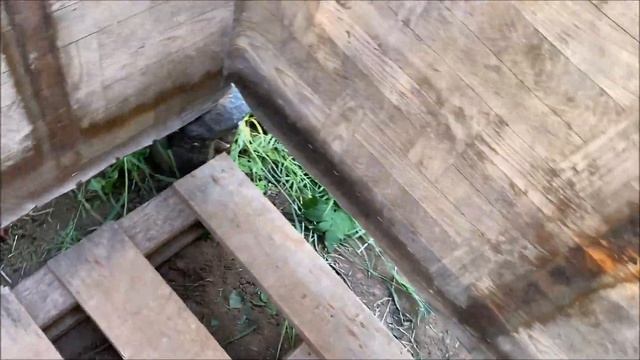 Дачный душ из подручных материалов, цена вопроса лейка для душа. смотреть онлайн