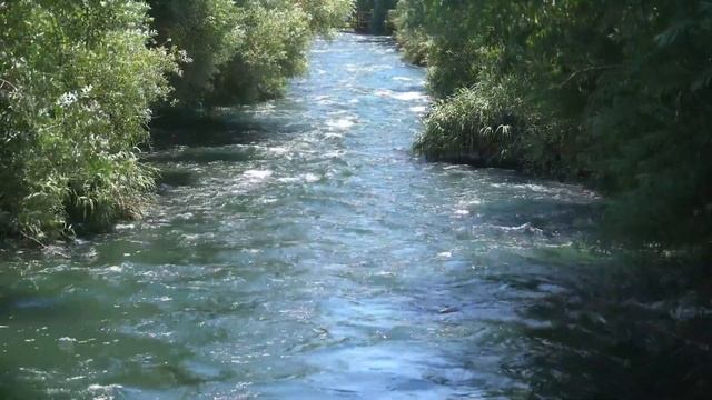 2 день Размышления, посвященные своему Ангелу Хранителю на каждый день месяца смотреть онлайн