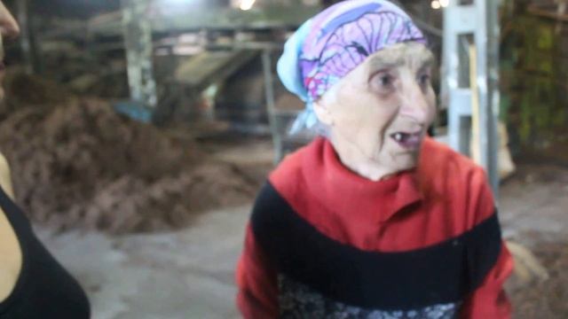 Абхазия.Село Лыхны.Чайная фабрика.Октябрь 2016. смотреть онлайн