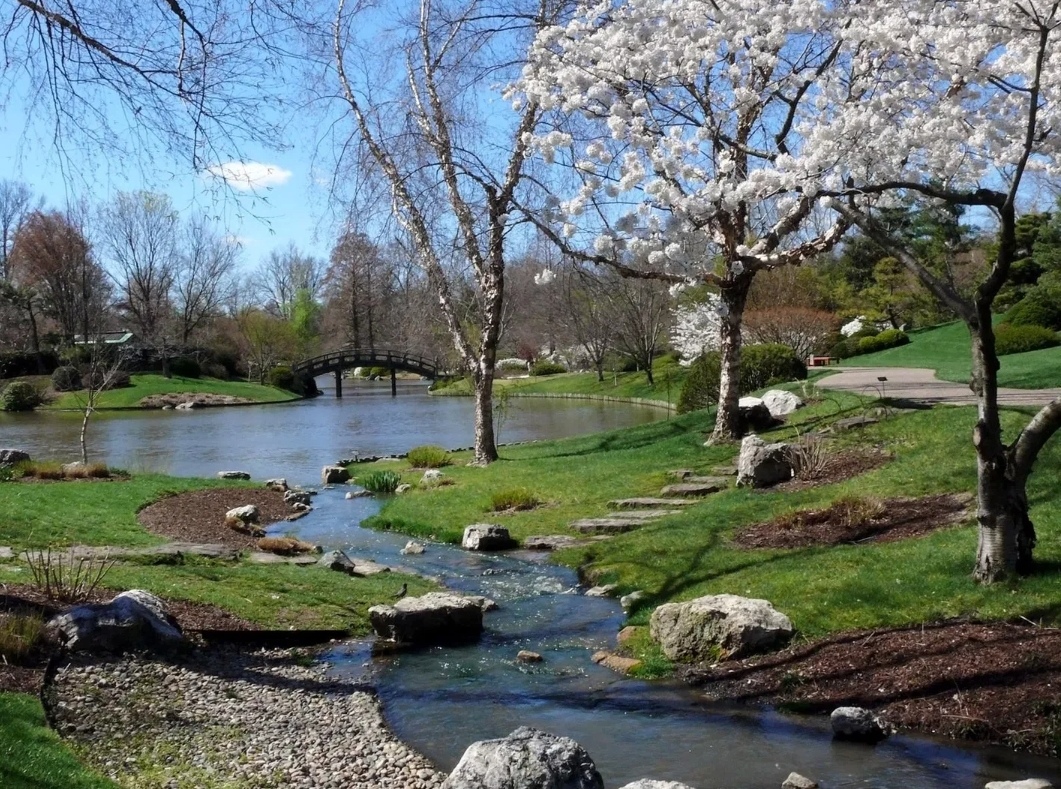 ВЕСНА "Гонимы вешними лучами..." из вокального цикла "Краски родной природы" на стихи А.С.Пушкина