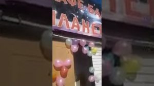 Туй точики дар москва кафей Планета тел 89651978892