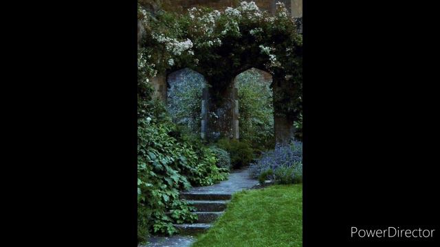 "Белой акации... " Старинный романс🌸 смотреть онлайн