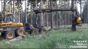 Харвестер-монстр лесов