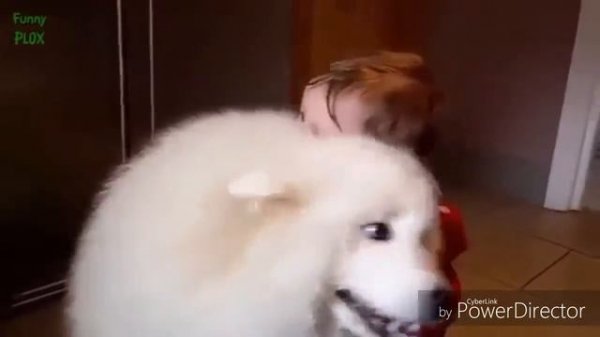 Funny Pets playing with children)) Смешные домашние животные играют с детьми))