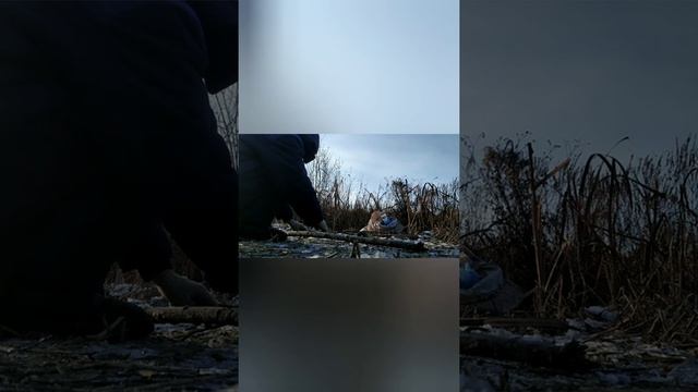 Ловля бобра петлями. смотреть онлайн